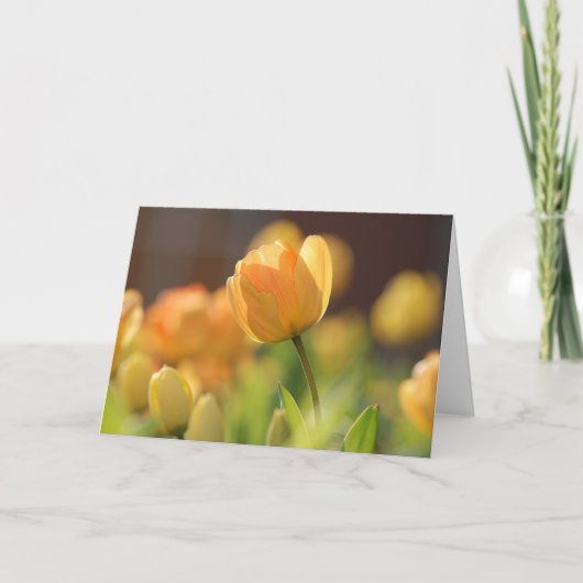 春の黄色の花のグリーティングカード カード (正面)