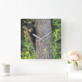 春の黒熊のカブ スクエア壁時計 (ホーム)