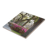 春のForsyth公園のツツジOaのサバンナジョージア タイル (側面)