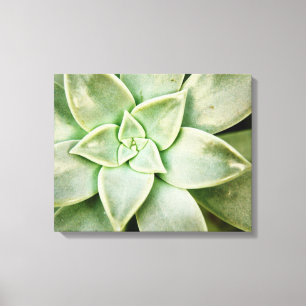 春のSucculent キャンバスプリント