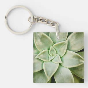 春のSucculent キーホルダー