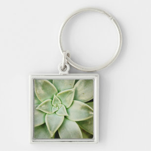 春のSucculent キーホルダー