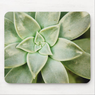 春のSucculent マウスパッド