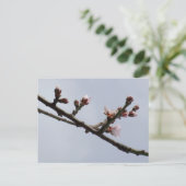 春はがき ポストカード (スタンド正面)