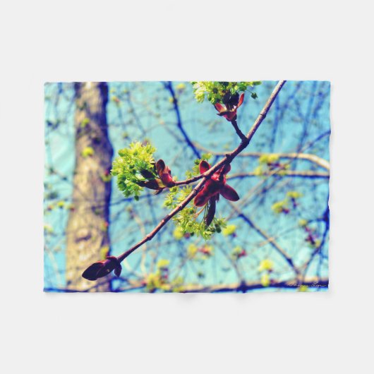 春はカエデの木を様式化 フリースブランケット (正面(横))