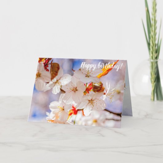 春はゴージャスエレガントで桜の花 カード (正面)