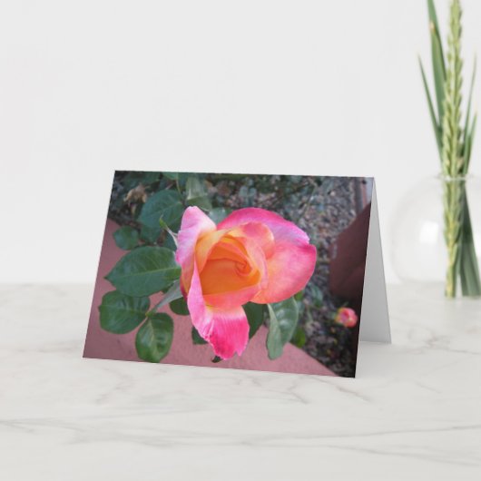 春はサンキューカードを着色します サンキューカード (正面)