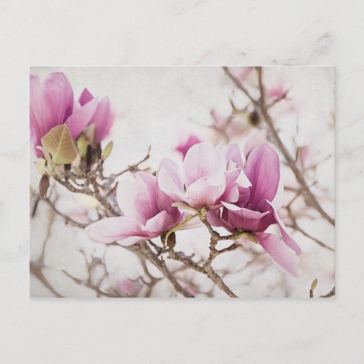 春は空中にある ポストカード (正面)