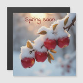 春は赤りんごにすぐに雪が降る (正面/裏面)