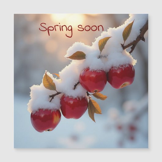 春は赤りんごにすぐに雪が降る (正面)