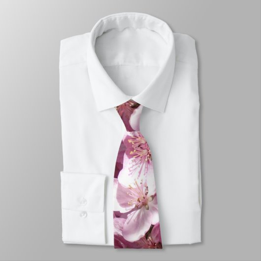 春ばね ネクタイ (タイ)