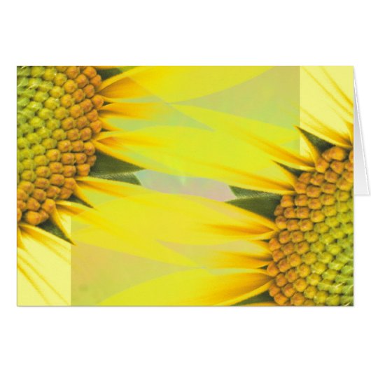 春ひまわり (正面横)