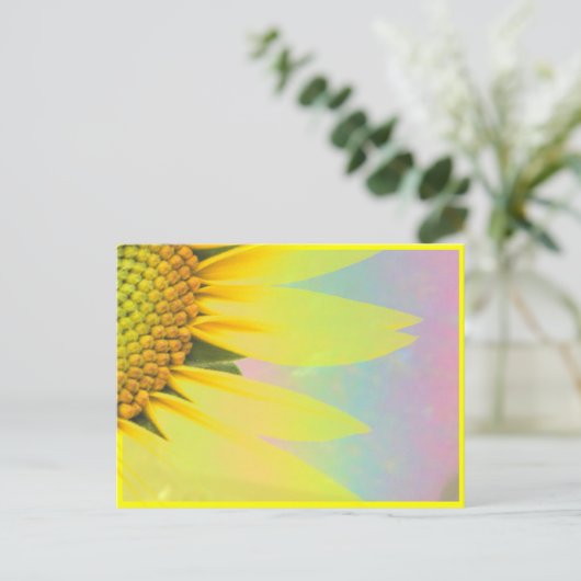 春ひまわり ポストカード (スタンド正面)