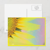 春ひまわり ポストカード (正面/裏面)