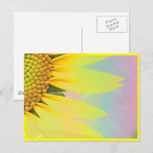 春ひまわり ポストカード (正面/裏面)