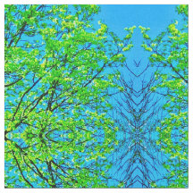 春もみじ華美の花