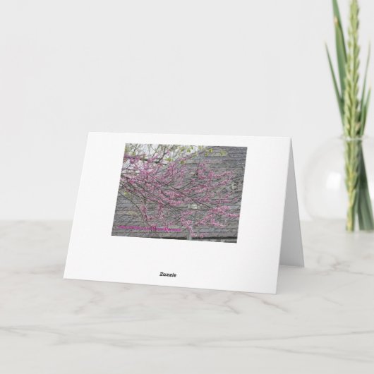 春を喜ばせるRedbudの花 カード (裏面)