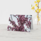 春を喜ばせるRedbudの花 カード (黄色い花)