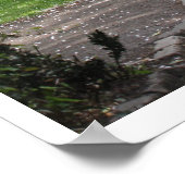 春アイルランド ポスター (角)