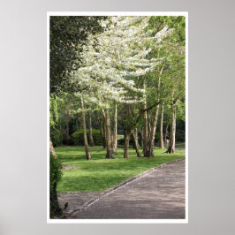 春アイルランド ポスター