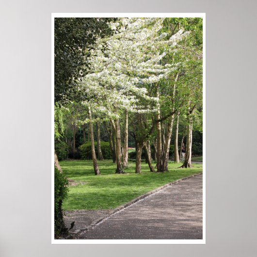 春アイルランド ポスター (正面)