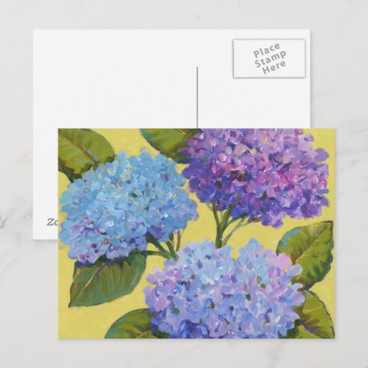 春アジサイI ポストカード (正面/裏面)