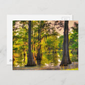 春アットザベイユー ポストカード (正面/裏面)