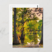 春アットザベイユー ポストカード (正面/裏面)