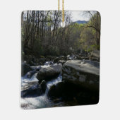 春アットリトルピジョン川 セラミックオーナメント (右)