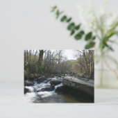 春アットリトルピジョン川 ポストカード (スタンド正面)
