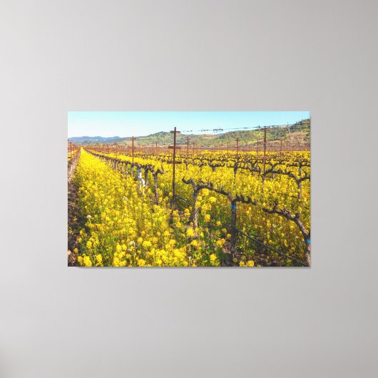 春アットヴィネヤード キャンバスプリント (正面)