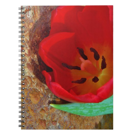春イエローとレッドチューリップ ノートブック (正面)