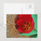 春イエローとレッドチューリップ ポストカード (正面/裏面)