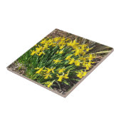 春イエローダフォジルセラミックスタイル タイル (側面)