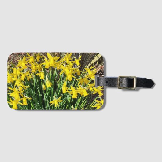 春イエローダフォジル ラゲッジタグ (正面横)