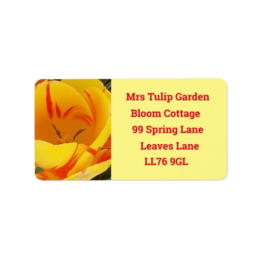 春イエローチューリップ住所 シール (正面)