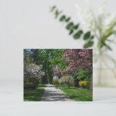 春インウィーンオーストリア ポストカード (スタンド正面)