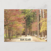 春インナミ島はがき ポストカード (正面)