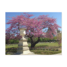 春インパリスポストカード