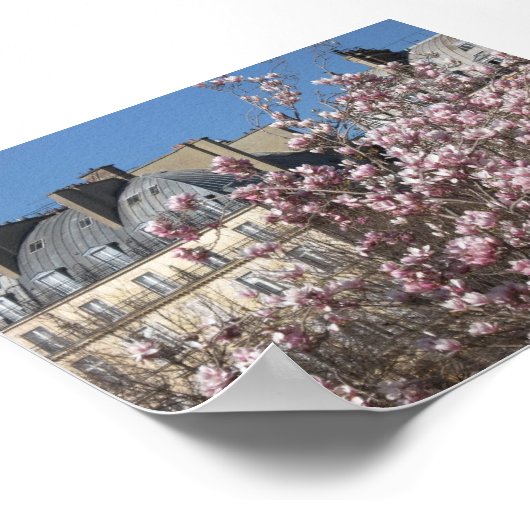 春インパリ ポスター (角)