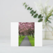 春インパーク ポストカード (スタンド正面)