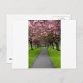 春インパーク ポストカード (正面/裏面)