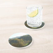 春インブルーリッジマウンテンズ コースター (側面)