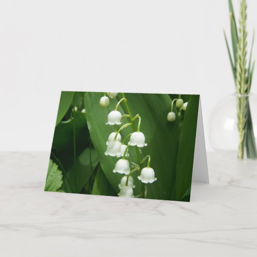 春インメイン カード (正面)