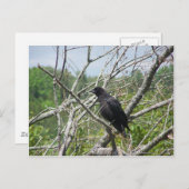 春インメイン ポストカード (正面/裏面)