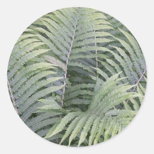 春インメイン ラウンドシール (正面)