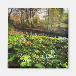 春インワーホールパーク（ベルギー、モンズ） マグネット