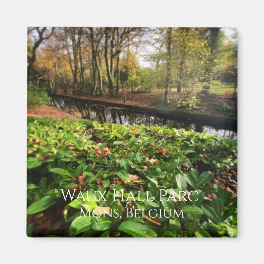 春インワーホールパーク(ベルギー、モンズ) マグネット (正面)