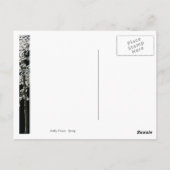 春イン開花 ポストカード (裏面)