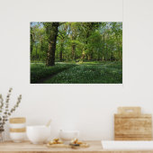 春イン・ウッズ,ブートパーク,カーディフ ポスター (キッチン)